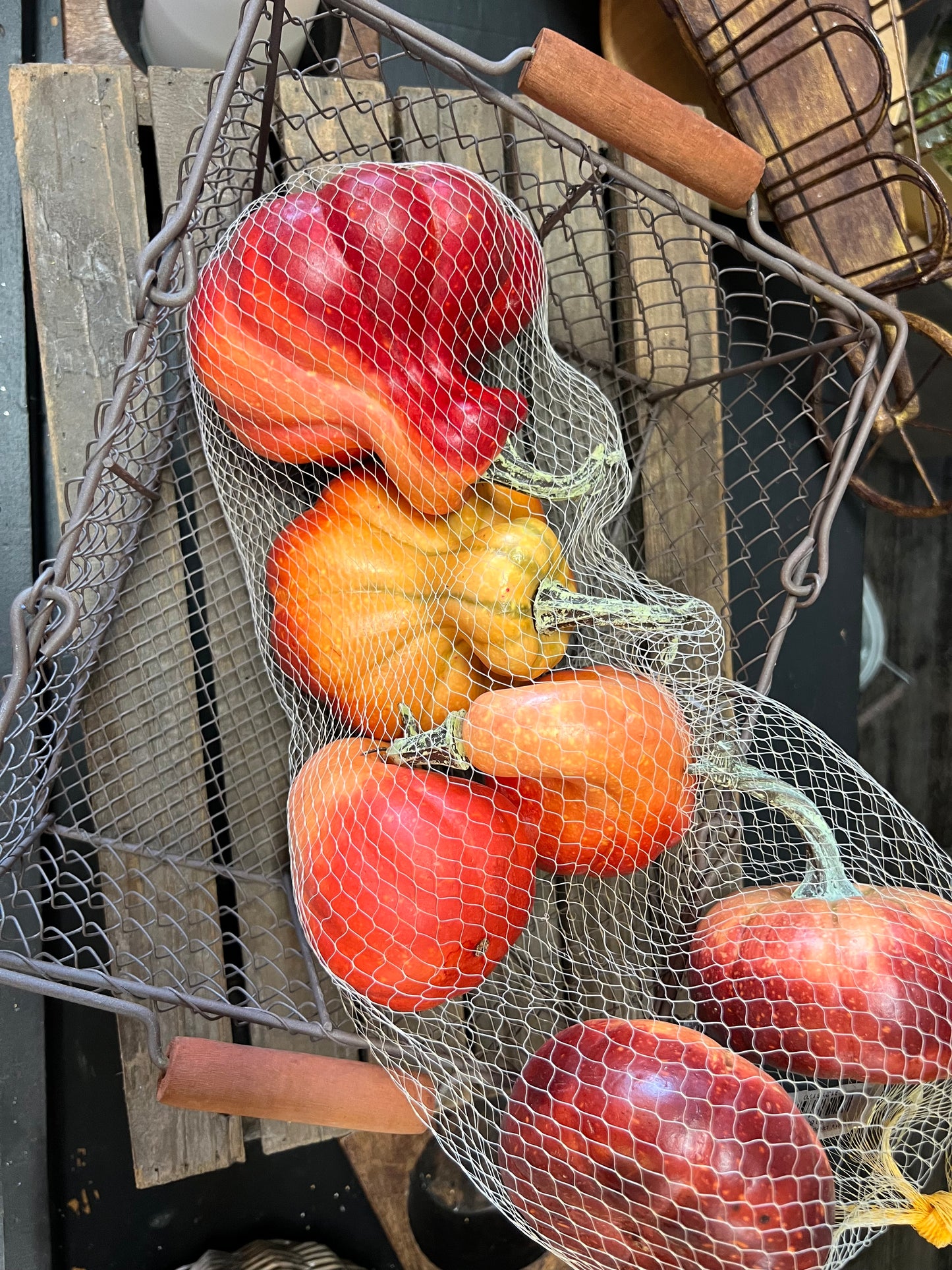 Pumpkin & Gourd Mix In Orange Tones