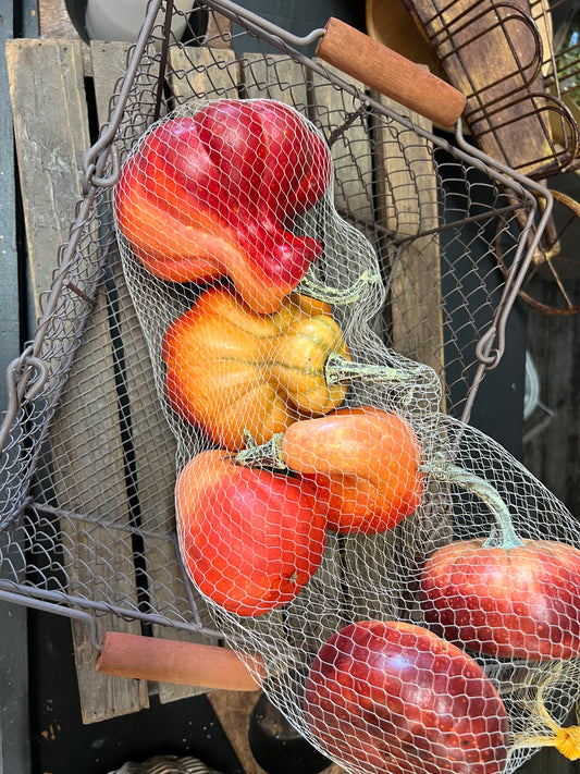 Pumpkin & Gourd Mix In Orange Tones