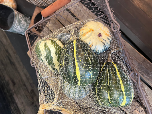Pumpkin & Gourd Mix In Green Tones