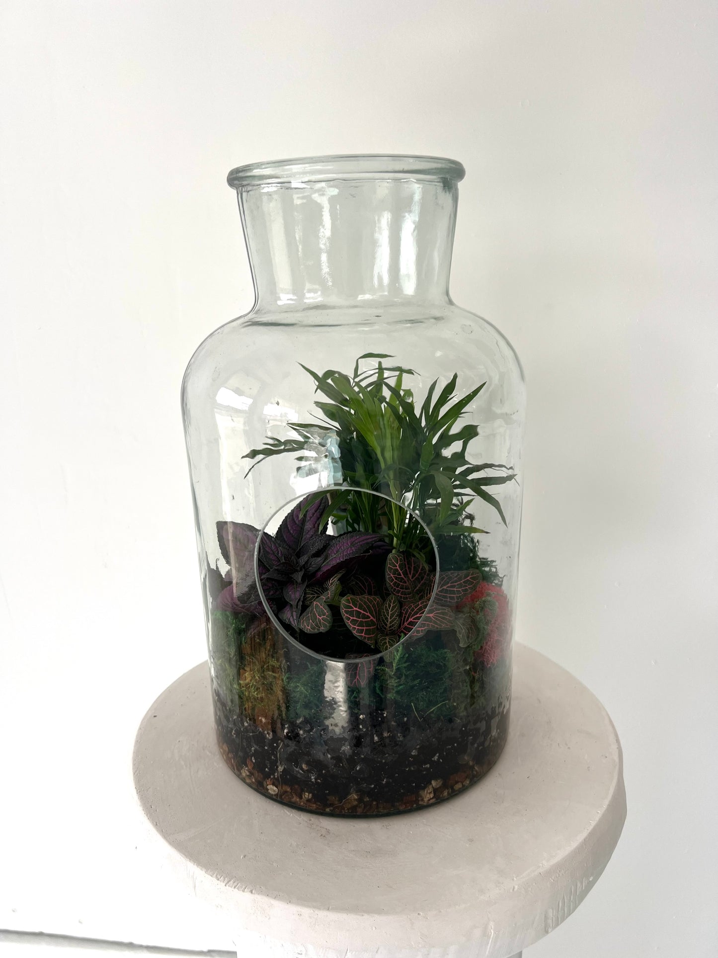 Asst Terrariums