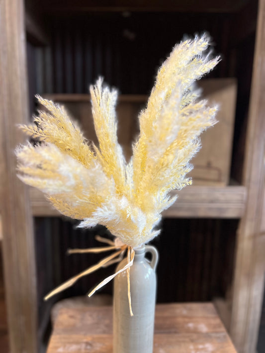 Faux Short Stem Pampas Grass
