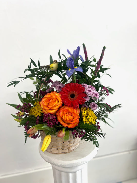 Blooming gardens