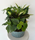 Large Dish Garden