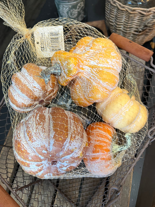 Pumpkin & Gourd Mix In Mixed Tones
