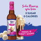 Jordan's Sugar Free Root Beer Float Syrup