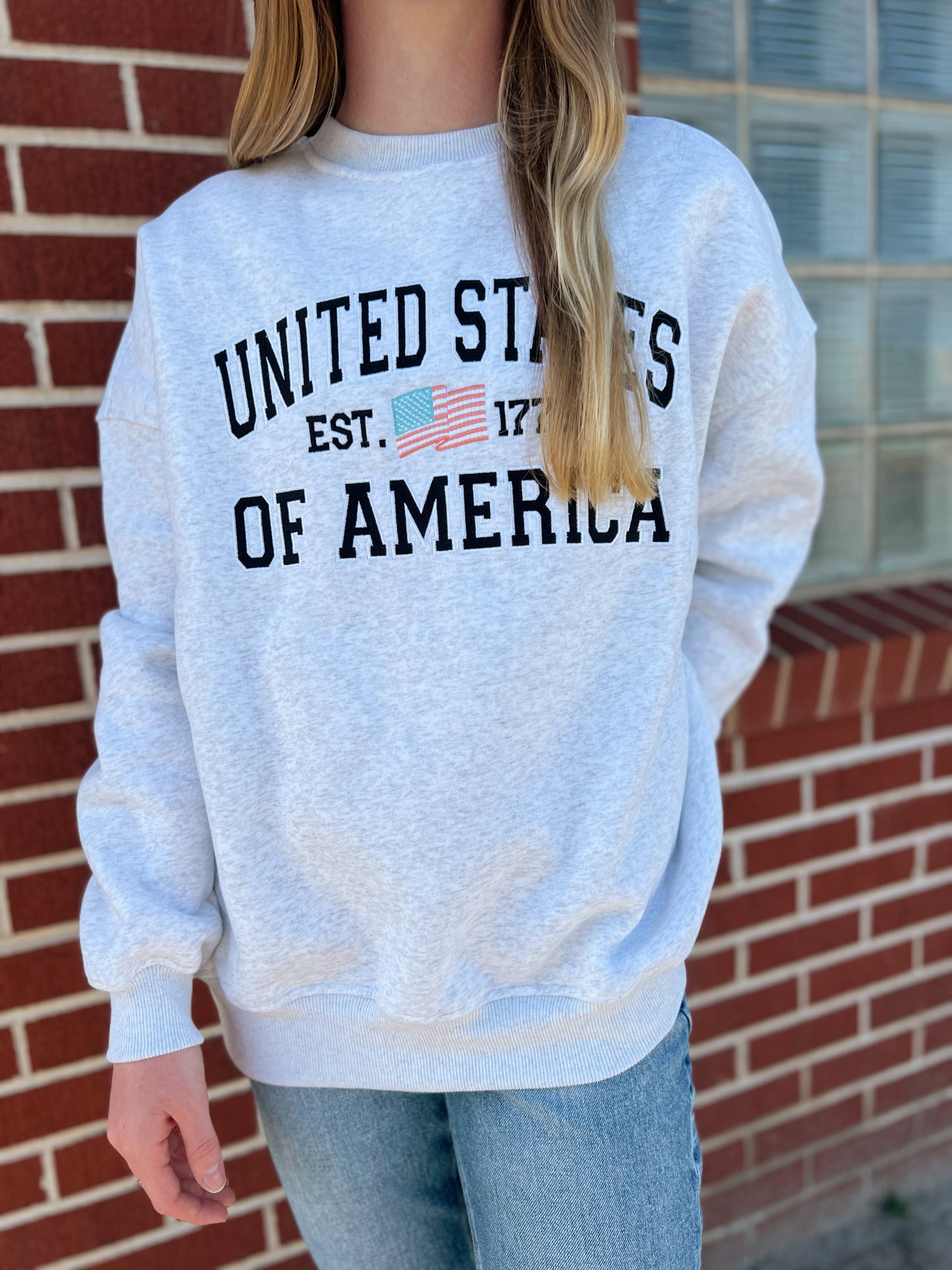 U.S.A Embroidered Flag Sweatshirt