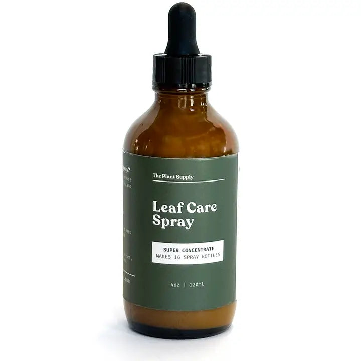 Plant Leaf Cleaner and Shine Concentrate