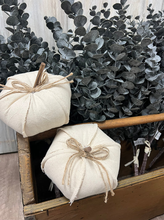 Cream Cloth Pumpkin