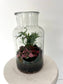 Asst Terrariums