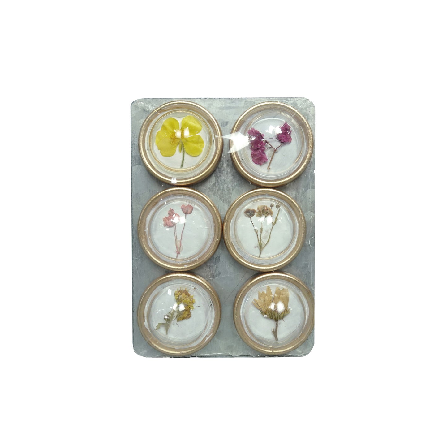 Magnets with Botanicals