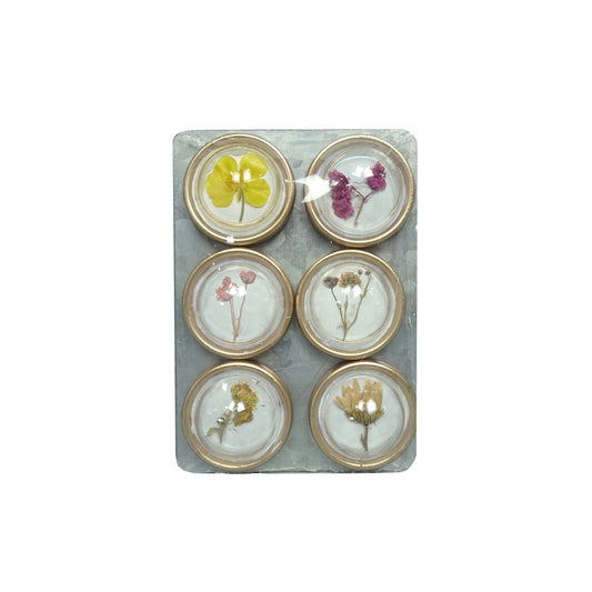 Magnets with Botanicals