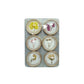 Magnets with Botanicals