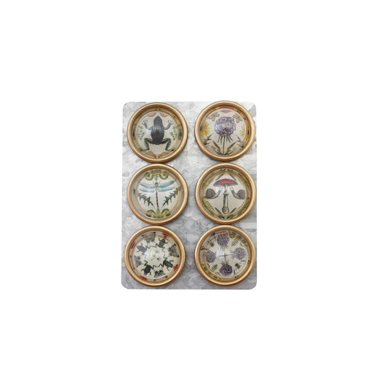 Resin Convex Magnets on Metal Card with Animals & Botanicals & Gold Finish
